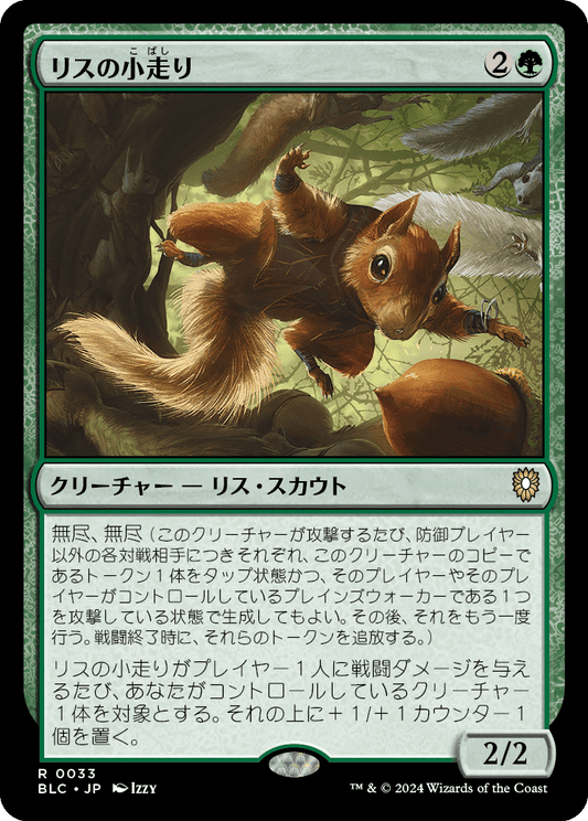 リスの小走り/Scurry of Squirrels [BLC]