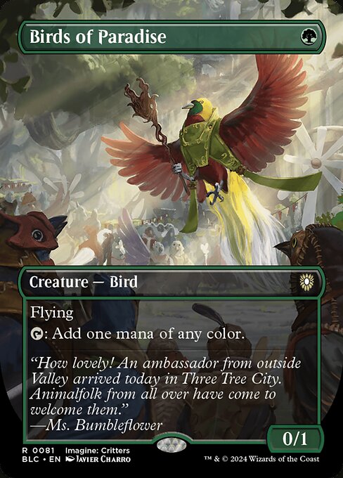 極楽鳥/Birds of Paradise [BLC][ボーダーレス]