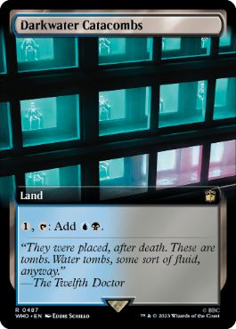 ダークウォーターの地下墓地/Darkwater Catacombs [WHO-BF][拡張アート][FOIL]