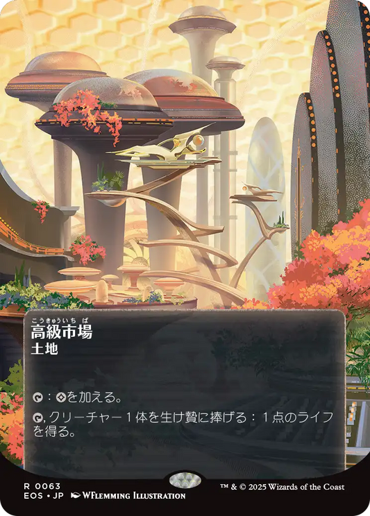 高級市場/High Market [EOS][星景ポスター][FOIL]