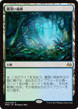 霧深い雨林/Misty Rainforest [MM3]