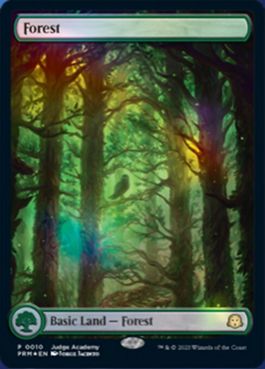 森/Forest [ジャッジ褒賞] [FOIL]