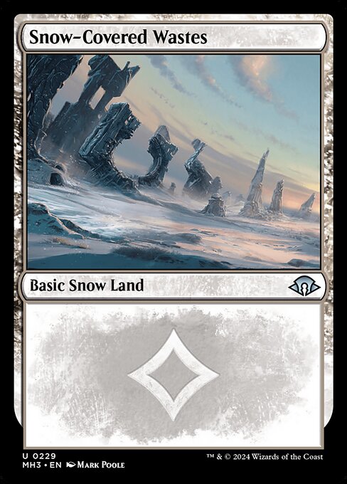 冠雪の荒地/Snow-Covered Wastes [MH3][FOIL]