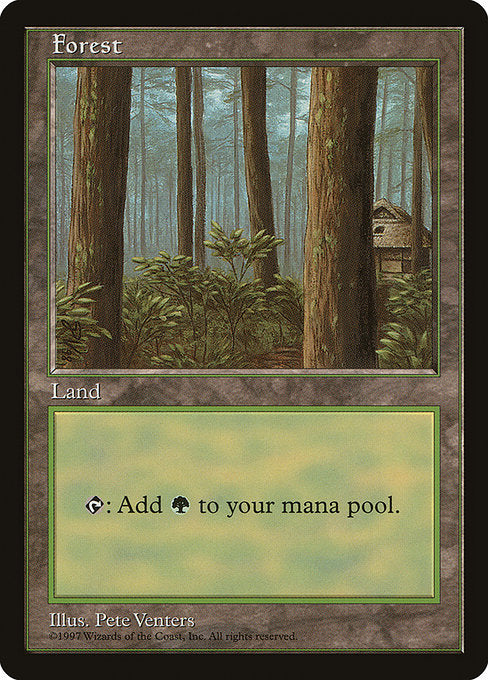 森/Forest [APAC1]