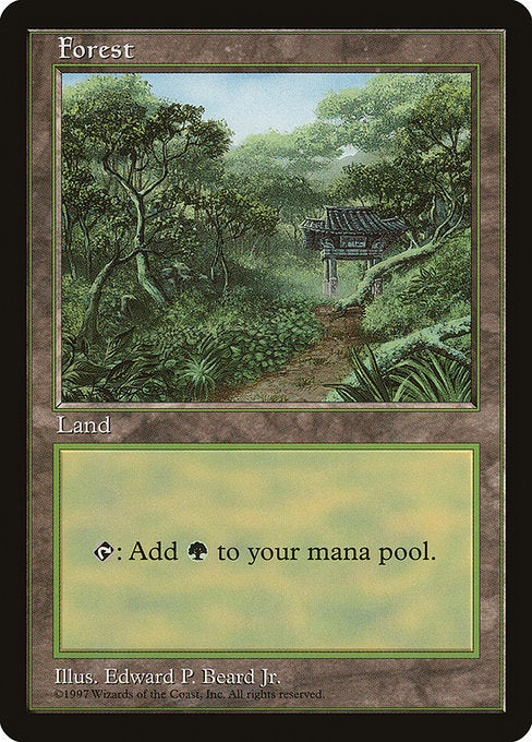 森/Forest [APAC3]