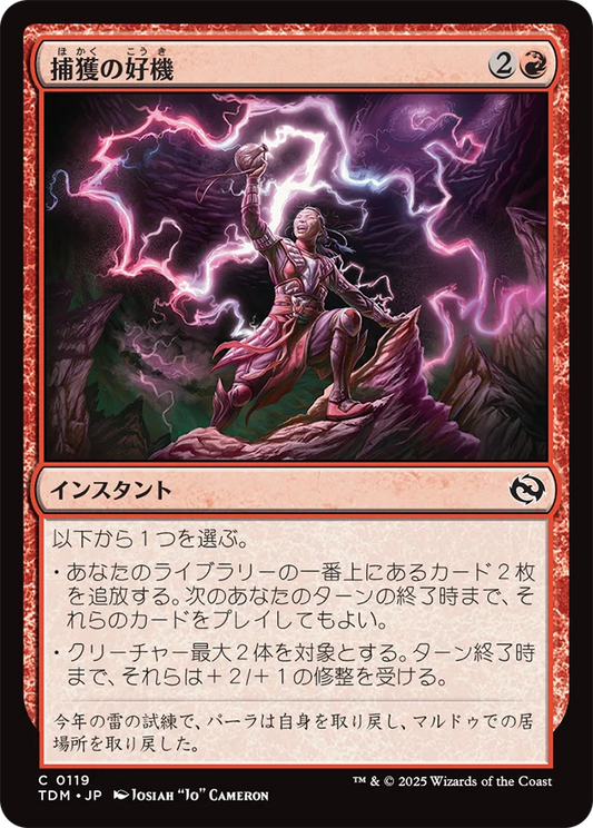 捕獲の好機/Seize Opportunity [TDM][FOIL]