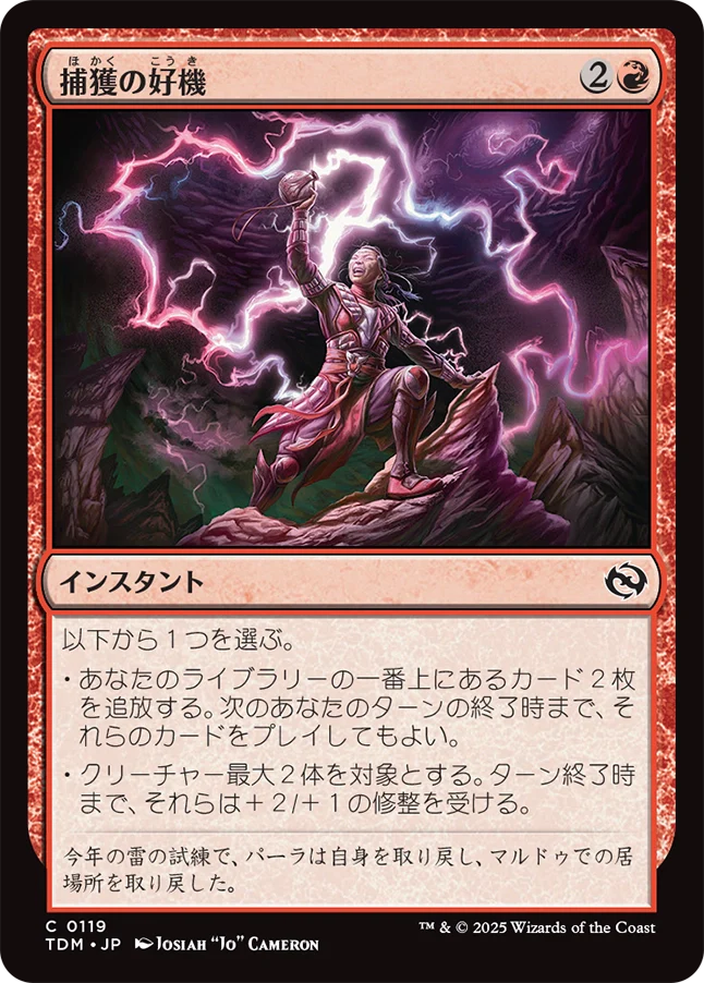 捕獲の好機/Seize Opportunity [TDM]