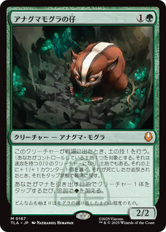 シンデレラ - 舞踏会の花形 [FOIL][エンチャンテッド] – TCG専門店 ARCANA