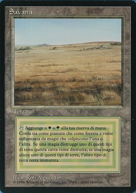 Savannah [3EDBB]