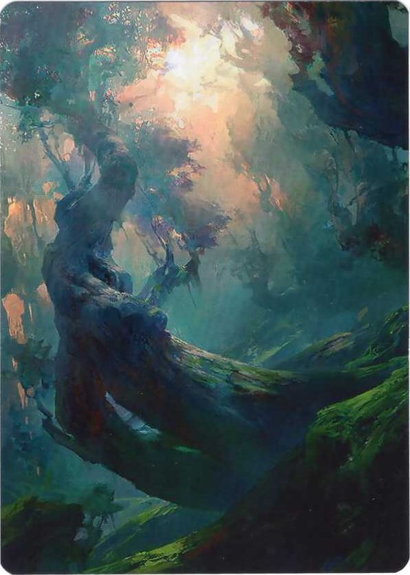 森/Forest（021） [ZNR] [アート・カード]