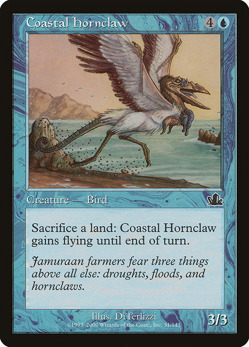 沿岸の角爪鳥/Coastal Hornclaw [PCY]