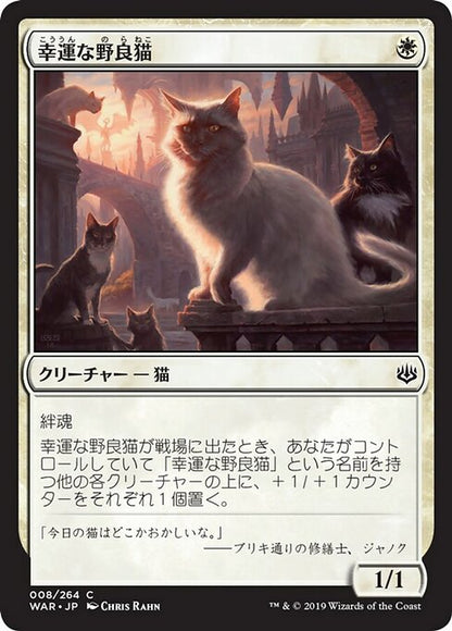 幸運な野良猫/Charmed Stray [WAR] [FOIL]