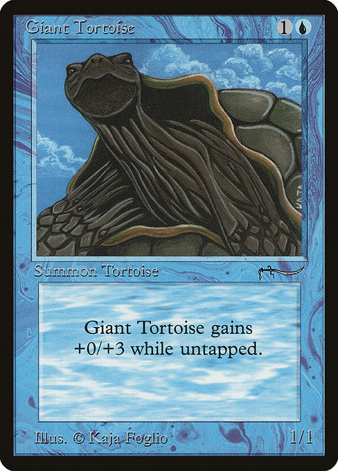 象亀/Giant Tortoise [ARN]