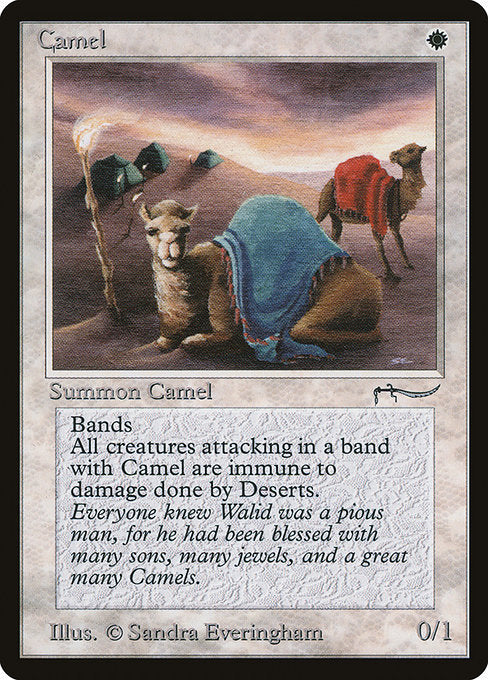 Camel [ARN]