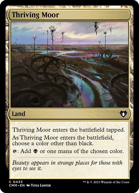 興隆する湿地帯/Thriving Moor [CMM] [FOIL]