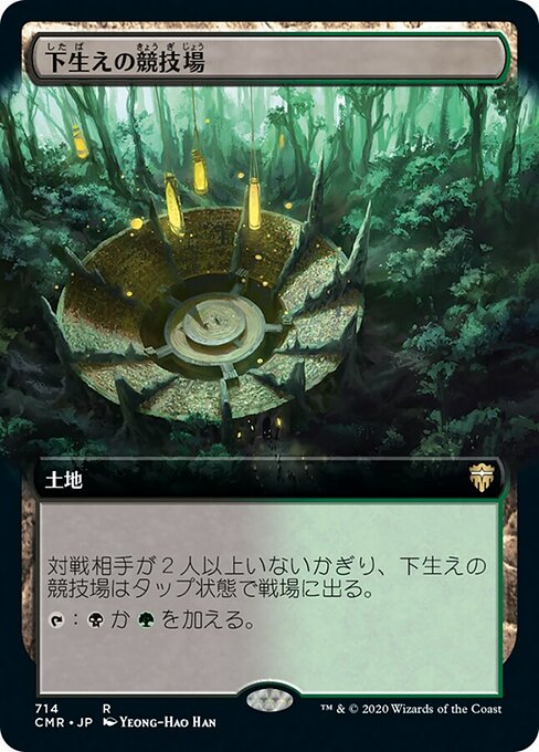 下生えの競技場/Undergrowth Stadium [CMR-BF][拡張アート]
