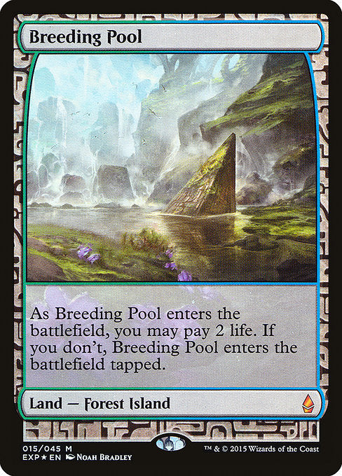 繁殖池/Breeding Pool
