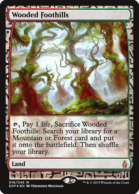 樹木茂る山麓/Wooded Foothills