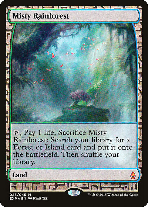 霧深い雨林/Misty Rainforest