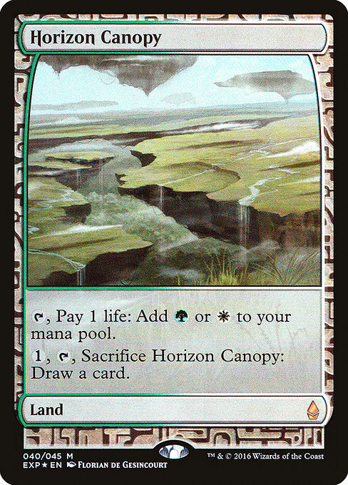 地平線の梢/Horizon Canopy