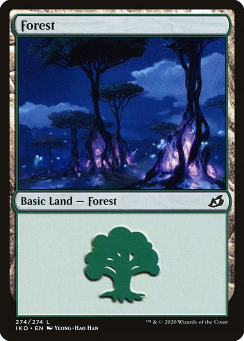 森/Forest（274） [IKO]