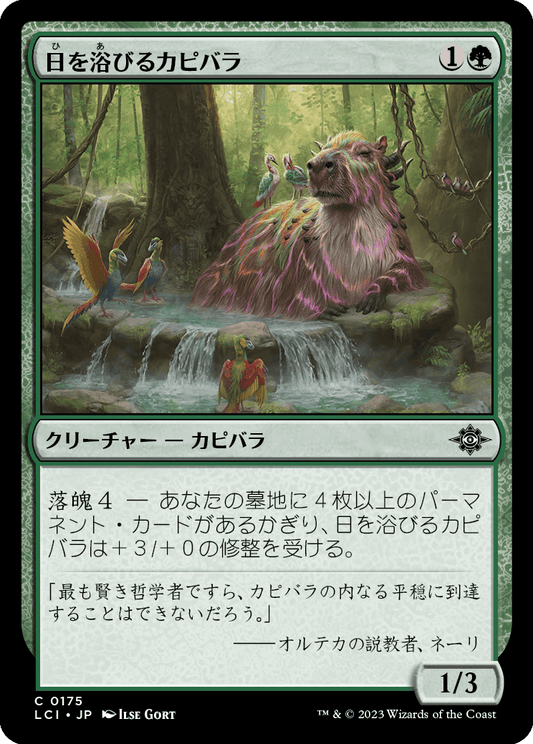 日を浴びるカピバラ/Basking Capybara [LCI] [FOIL]