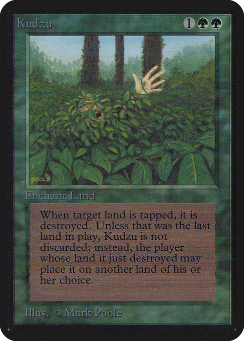 Kudzu [LEA]