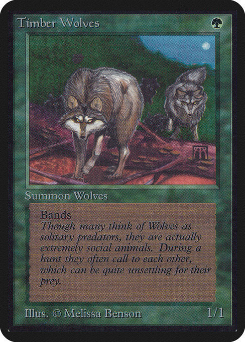 森林狼/Timber Wolves [LEA]