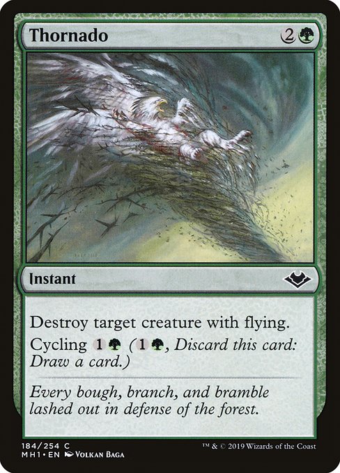 棘竜巻/Thornado [MH1] [FOIL]