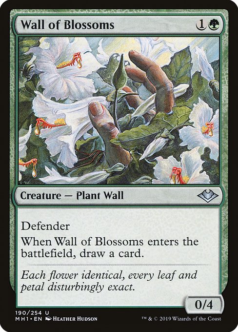 花の壁/Wall of Blossoms [MH1]