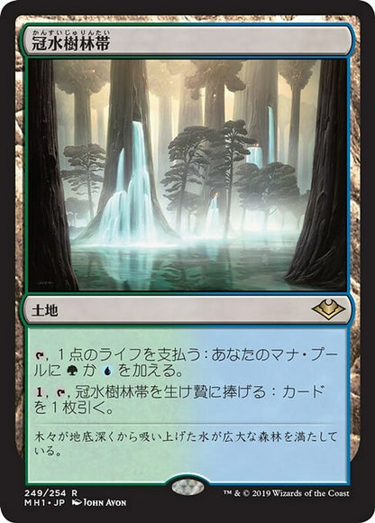 冠水樹林帯/Waterlogged Grove [MH1]