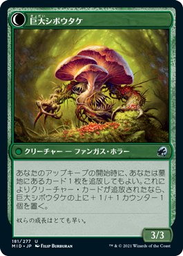 シボウタケの若芽/Deathbonnet Sprout - 巨大シボウタケ/Deathbonnet Hulk [MID][FOIL]