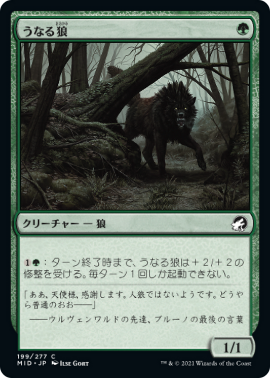 うなる狼/Snarling Wolf [MID]