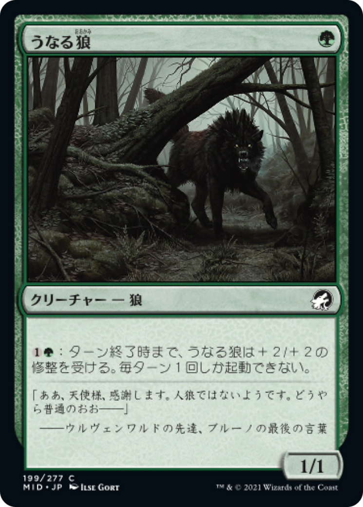 うなる狼/Snarling Wolf [MID][FOIL]