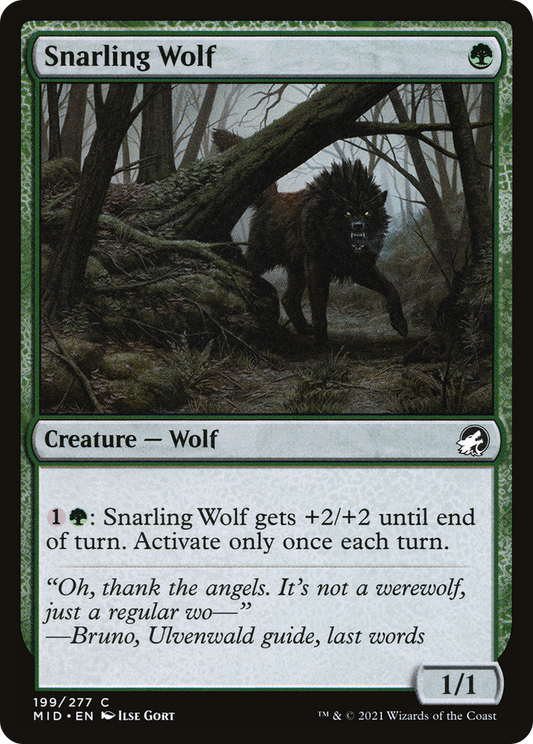 うなる狼/Snarling Wolf [MID]