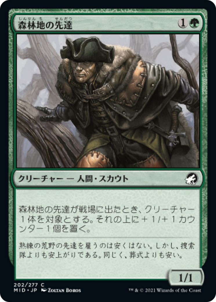森林地の先達/Timberland Guide [MID][FOIL]