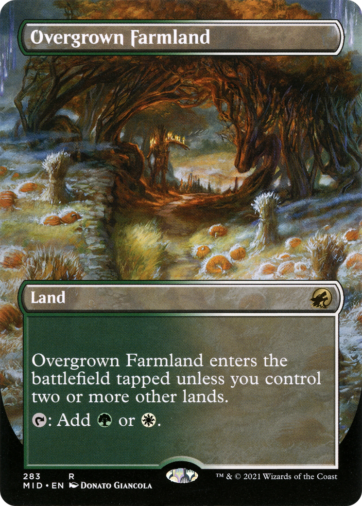 草茂る農地/Overgrown Farmland [MID-BF][ボーダーレス]