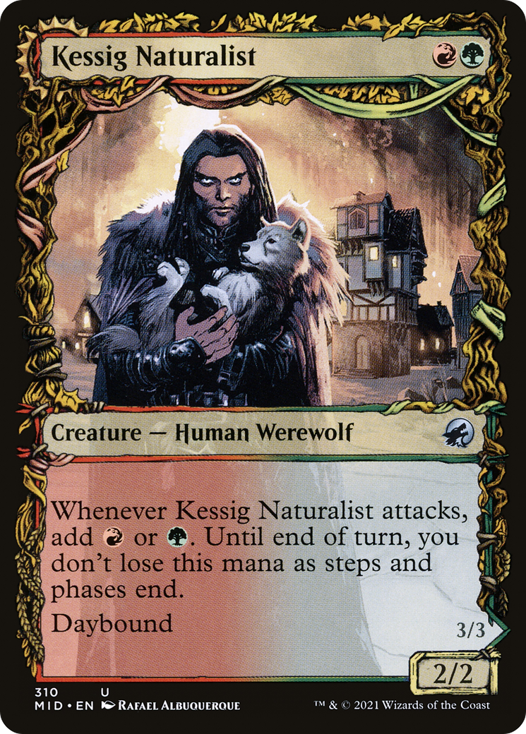 ケッシグの自然主義者/Kessig Naturalist - ウルヴェンワルドの王/Lord of the Ulvenwald [MID-BF][ショーケース]