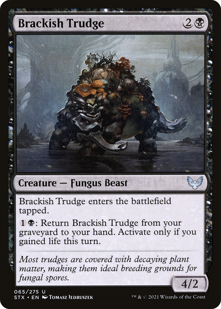 汽水トラッジ/Brackish Trudge [STX]