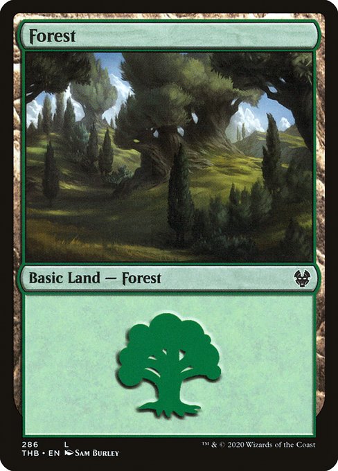 森/Forest（286） [THB]