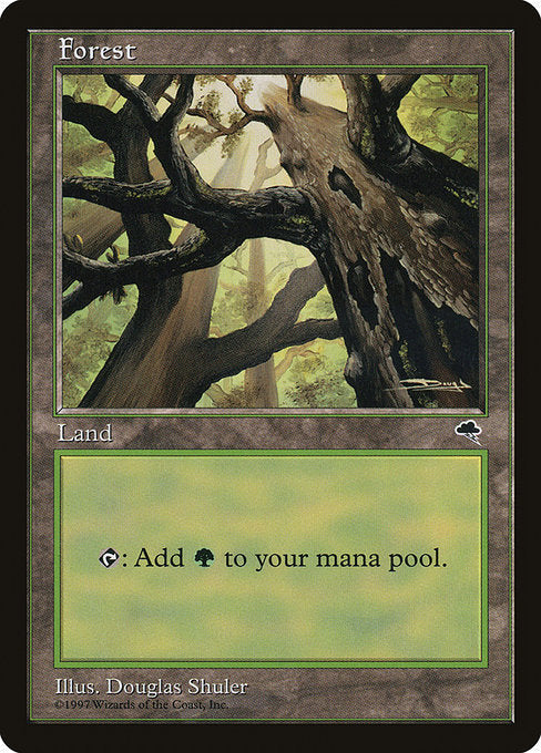 森/Forest A [TMP]