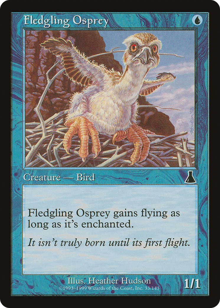 巣立つミサゴ/Fledgling Osprey [UDS] [FOIL]