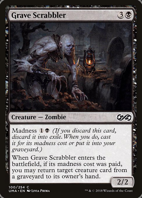 墓を掻き回すもの/Grave Scrabbler [UMA]
