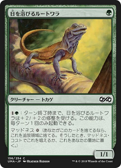 日を浴びるルートワラ/Basking Rootwalla [UMA] [FOIL]