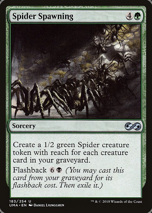 蜘蛛の発生/Spider Spawning [UMA]