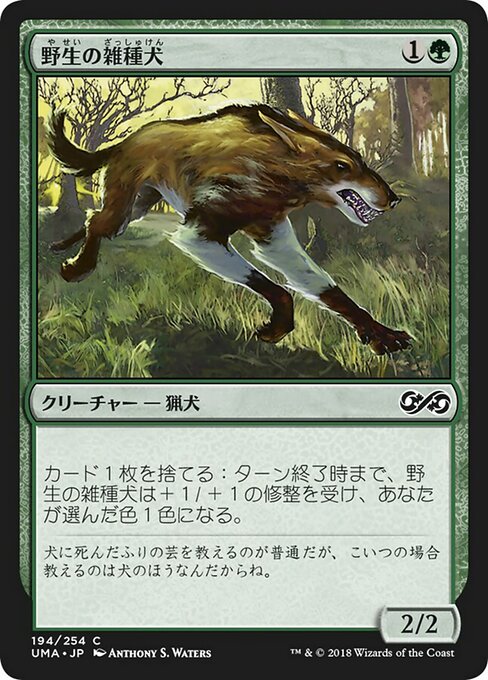 野生の雑種犬/Wild Mongrel [UMA]