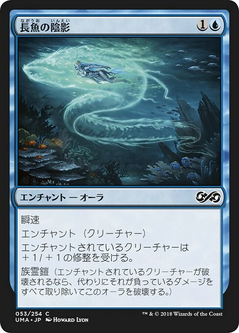 長魚の陰影/Eel Umbra [UMA]