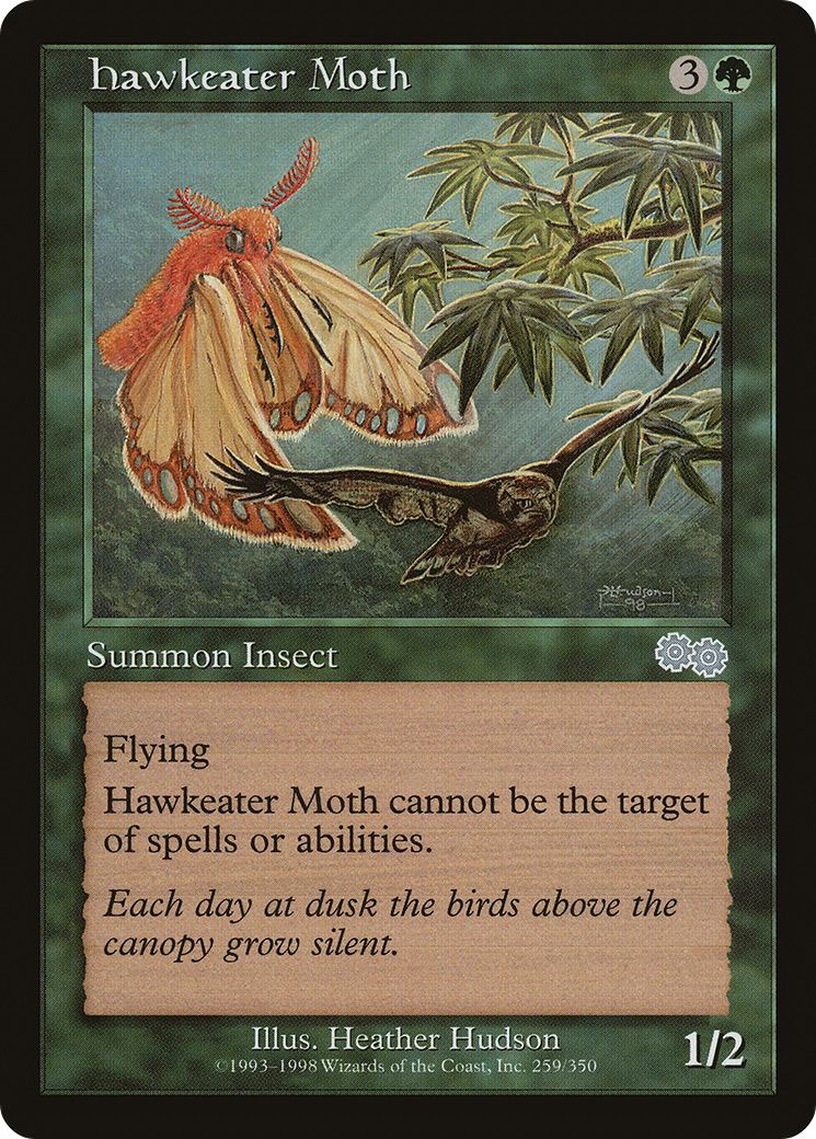 鷹喰い蛾/Hawkeater Moth [USG]